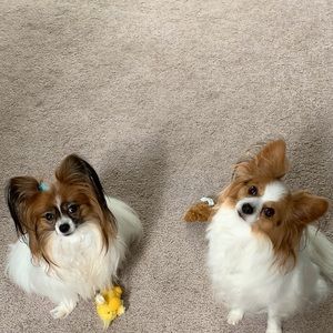 Meet your Posher, Donna l